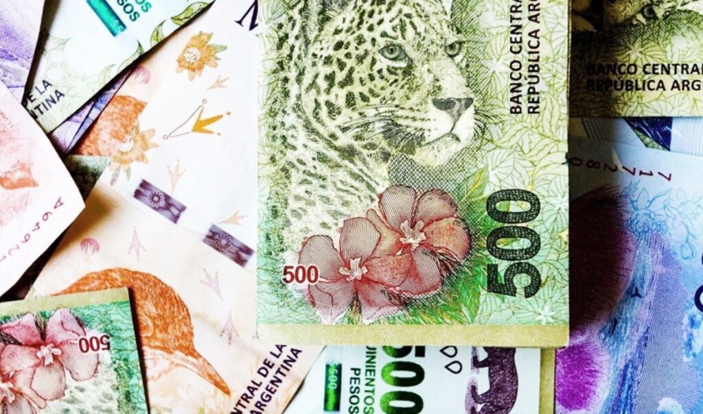 El Banco Central Anunció Que Este Año Circularán Billetes De 10000 Y 20000 Pesos La Mañana 1253